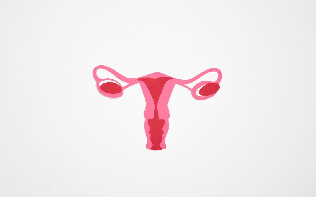 Miomas e Fertilidade: Quando Afetam e O Que Fazer