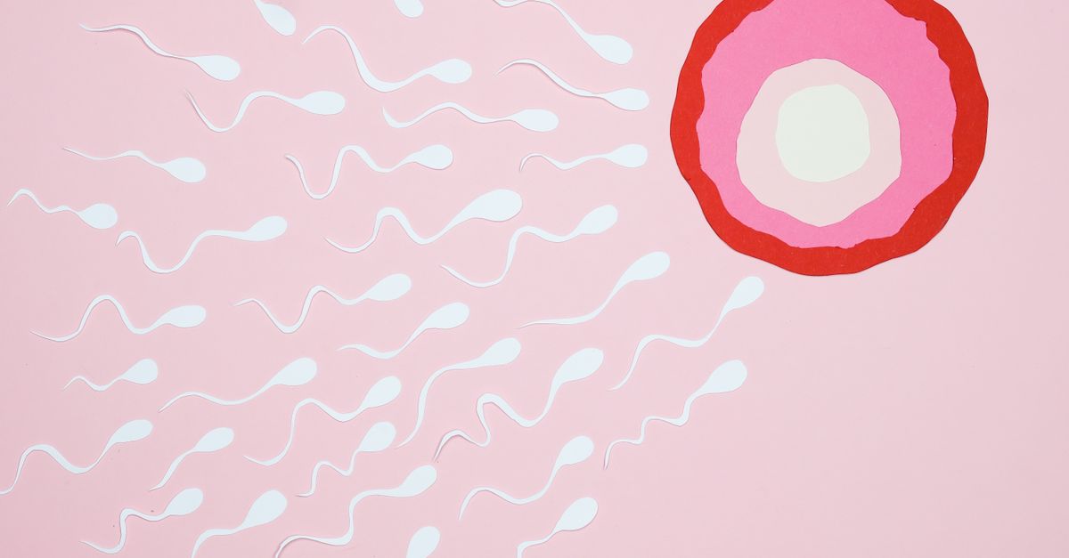 Ovulação Tardia: Causas, Sintomas e Impacto na Fertilidade