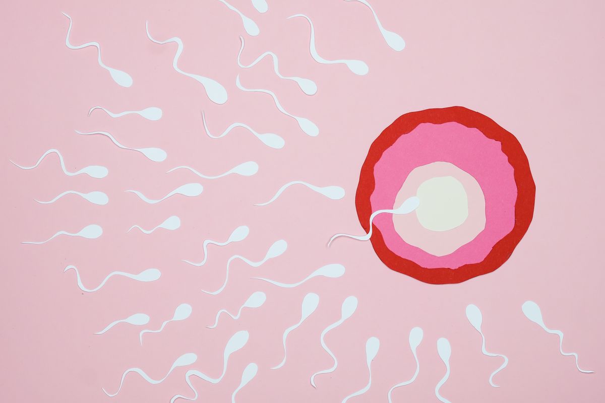 Quanto tempo o espermatozoide vive no corpo da mulher — ilustração de fertilização